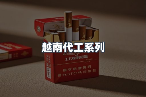 越南代工系列